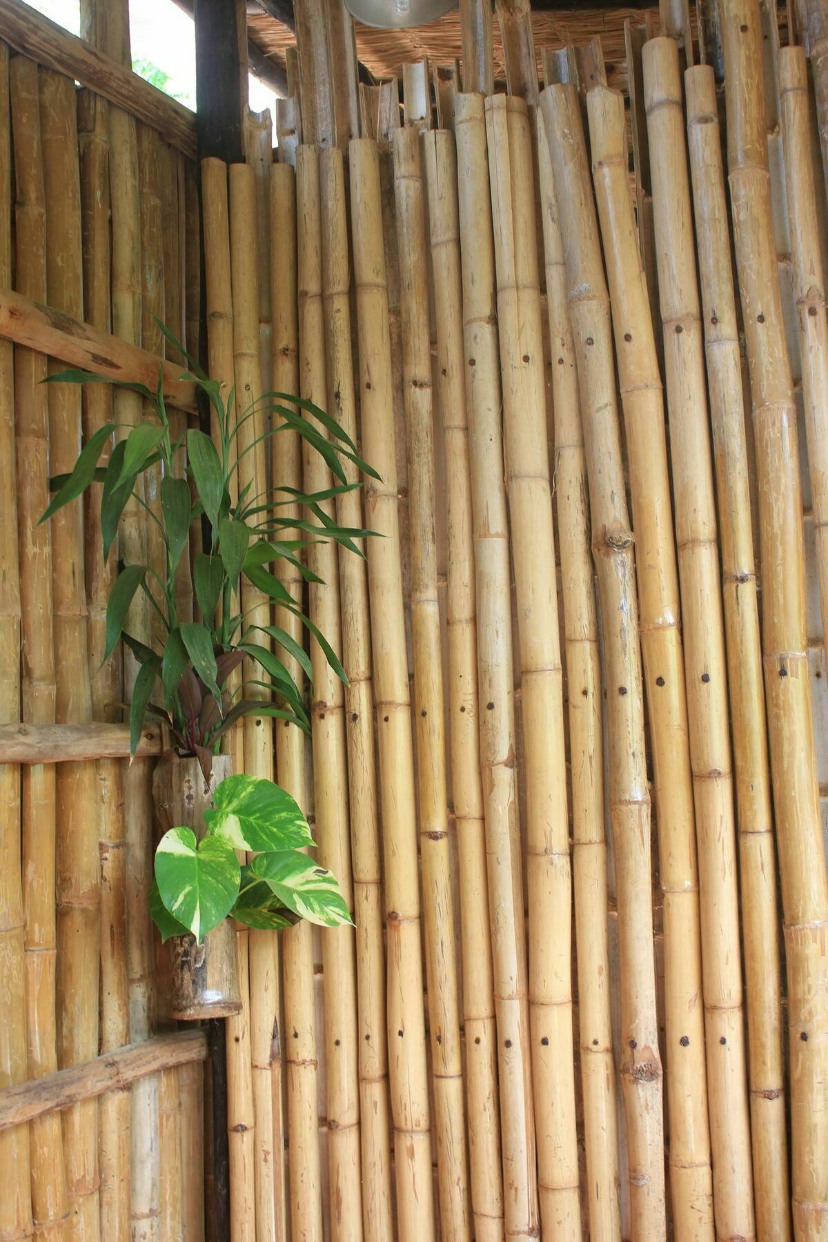 Battambang Dream Bungalows Екстериор снимка